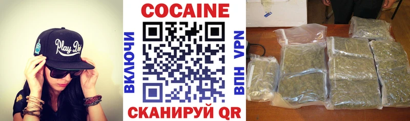 КОКАИН Fish Scale  маркетплейс как зайти  mega ССЫЛКА  Искитим  магазин   