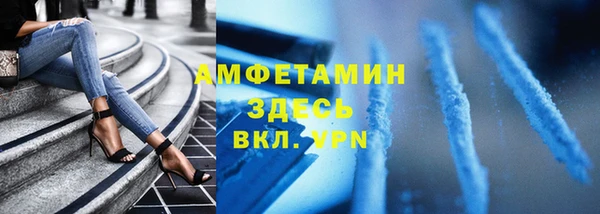 шишки Абаза
