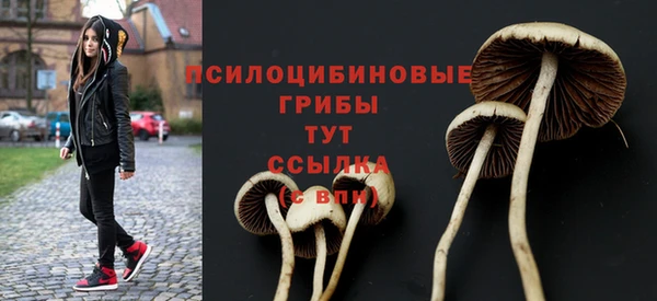 бошки Осташков