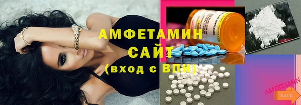 шишки Абаза