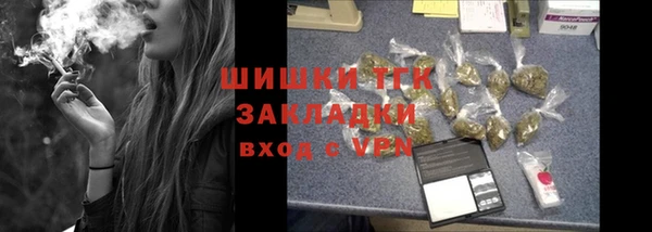 шишки Абаза