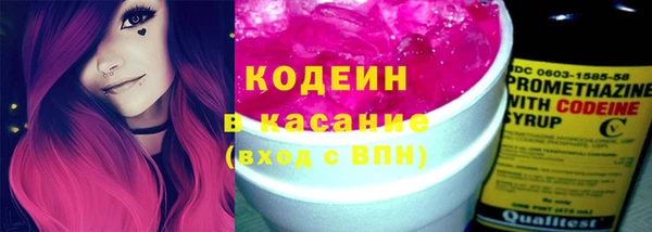 шишки Абаза