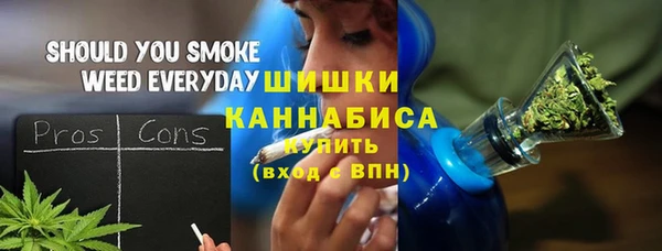 шишки Абаза