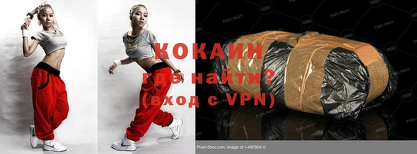 шишки Абаза