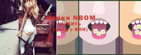 шишки Абаза
