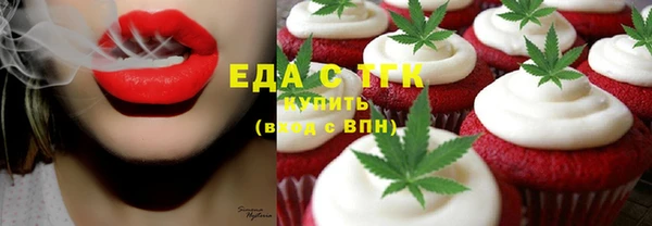 шишки Абаза