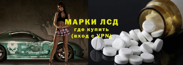 шишки Абаза