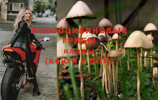 гашиш Абинск