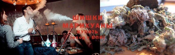 шишки Абаза