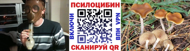 Псилоцибиновые грибы Cubensis  закладки  Искитим 